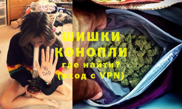 шишки Армянск