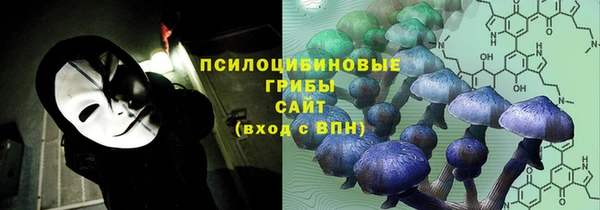 шишки Армянск