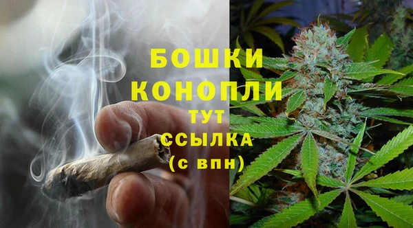 шишки Армянск