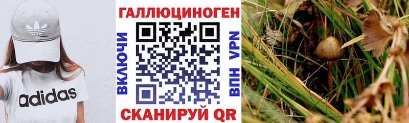 нарко площадка телеграм  мега ссылка  Певек  Псилоцибиновые грибы Psilocybine cubensis 